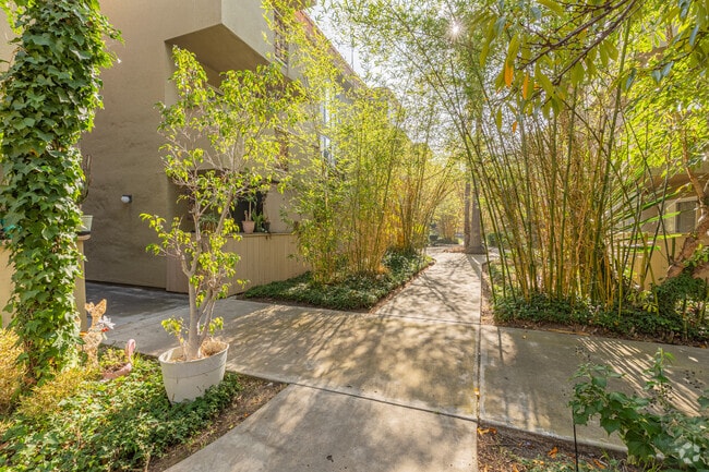 Courtyard - Centre Towers Apartments