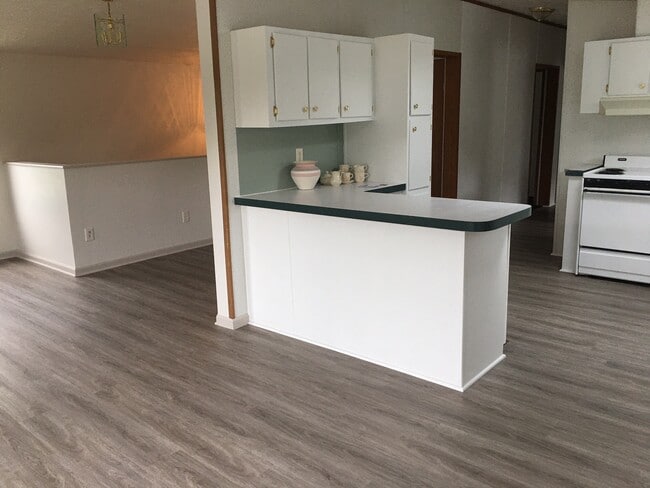 Kitchen/Dining Room - 290 Altamont Rd