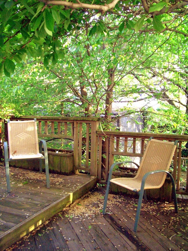 deck - 412A 17th St