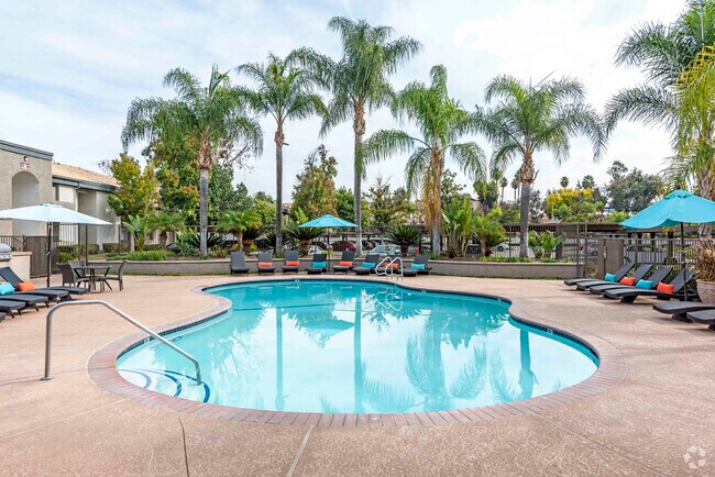 Apartments Near The Shops At Clinton Keith In Wildomar Ca Apartments Com