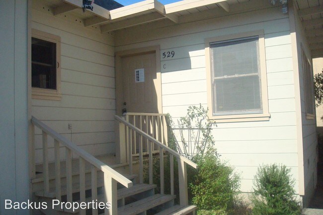 Building Photo - 529 Laine St