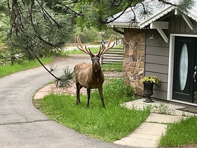Foto del edificio - 32114 Upper Bear Creek Rd