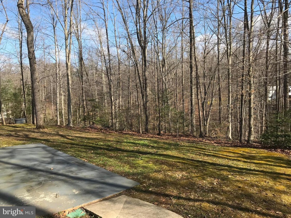 14226 Settle Dr, Rixeyville, VA 22737 House Rental in Rixeyville, VA