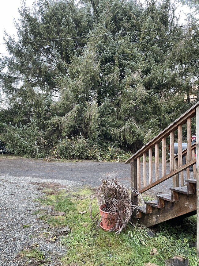 Even the view from the driveway is beautiful - 293383 Highway 101