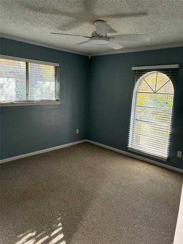 Building Photo - 1122 Jungle Dr