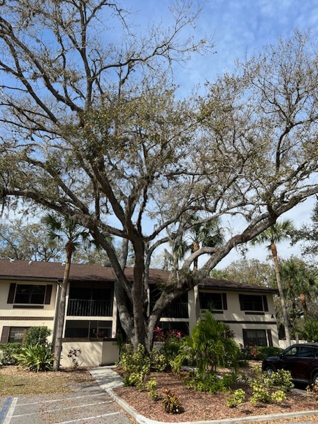 Oaks III Condominium Annual Rental Unfurn... - Oaks III Condominium Annual Rental  Unfurn...