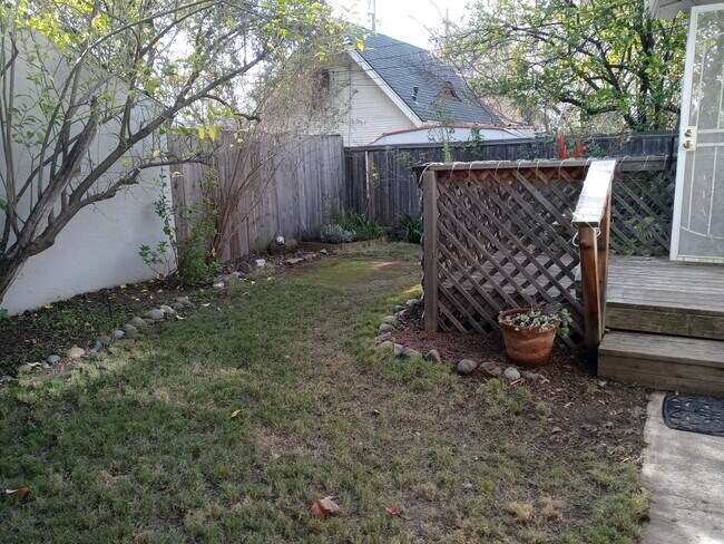 Backyard - 2308 39th St