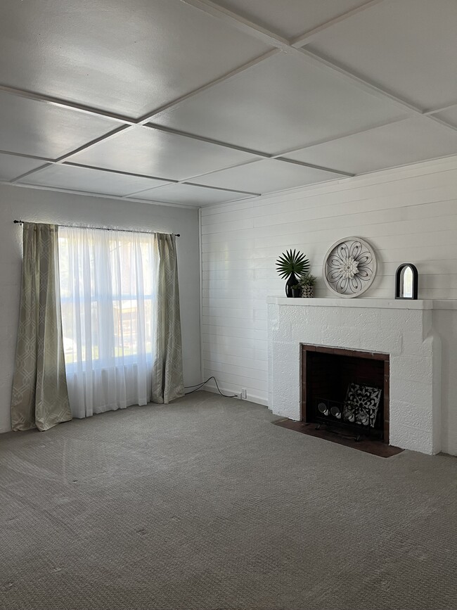 Modern Farmhouse style remodel(non-working fireplace) - 214 Bird Ct