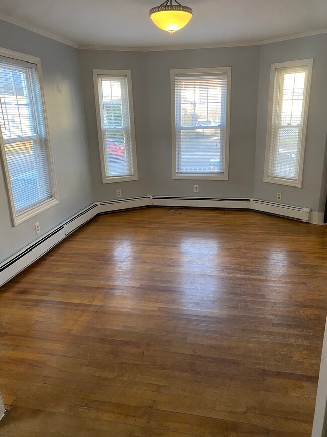 Sun filled living room - 16 McKinley Rd