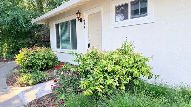 Foto del edificio - NEWLY RENOVATED---- 2BD/1BA, End Unit TH in Twin Creeks Garden, San Ramon- Available Now!