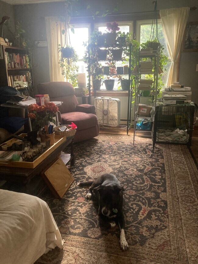 Foto del edificio - 6 Boynton Dr