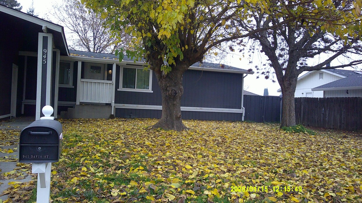 Primary Photo - 945 Davis St.