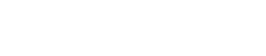 Relm Inc.
