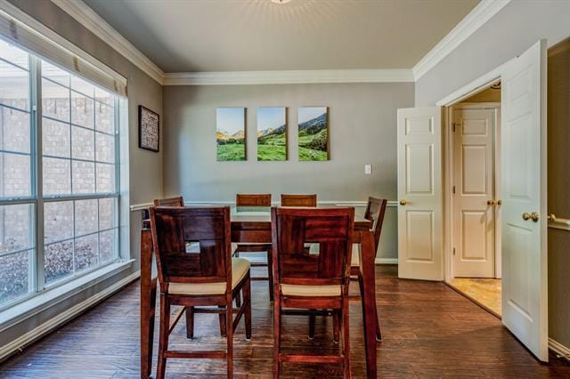 Building Photo - 4117 Teaberry Ct
