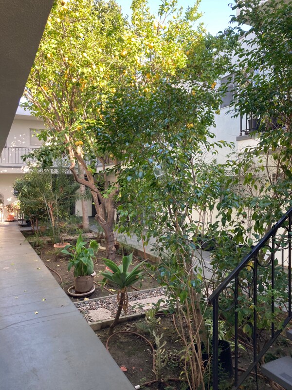 Foto del edificio - 1444 N Vista St