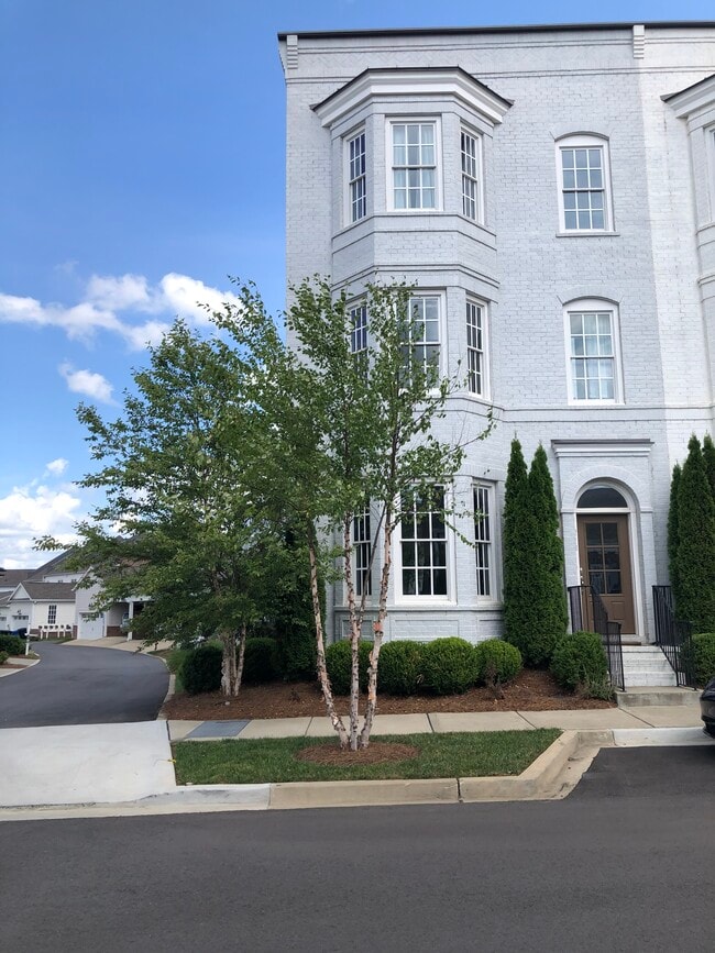 Gorgeous Berry Farm neighborhood - 218 Mary Webb St