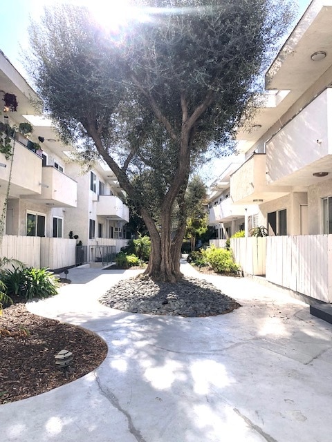 Primary Photo - 2884 Sawtelle Blvd