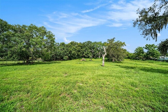Building Photo - 11911 Pine Forest Dr