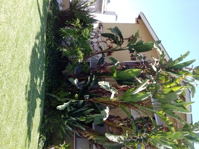 Foto del edificio - 1148 Sonora Ave