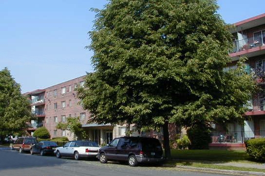 Building Photo - Beechwood Gardens