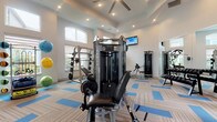 This fitness center offers a comprehensive workout environment designed to support a wide range of exercise routines. The main training area features soaring ceilings with recessed lighting and a ceiling fan, crisp white walls, and a patterned carpet floor accented with blue tile insets that add a modern, energetic feel. Large arched and rectangular windows throughout the space invite abundant natural light and offer views of the surrounding greenery.

The strength training zone is well-appointed with a multi-function cable machine, a weight bench, a squat/barbell rack, a dumbbell rack stocked with a range of weights, and an assortment of stability and medicine balls. Full-length wall mirrors amplify the sense of space and allow for proper form checks during workouts. A wall-mounted flat-screen TV keeps members entertained during training sessions.

A dedicated cardio area houses multiple treadmills, an elliptical trainer, a stationary bike, and a rowing machine, all positioned near windows for an open, airy feel. French doors with sidelights provide direct outdoor access, enhancing ventilation and connectivity to the exterior.

A separate activity nook features a wall-mounted TV and shelving stocked with board games, offering a casual, family-friendly retreat within the facility.