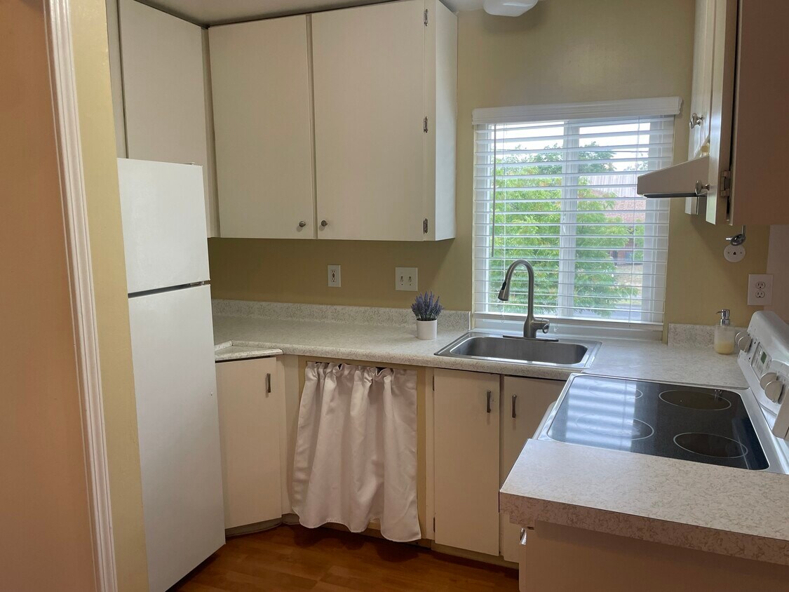 Foto principal - 300 Stony Point Rd