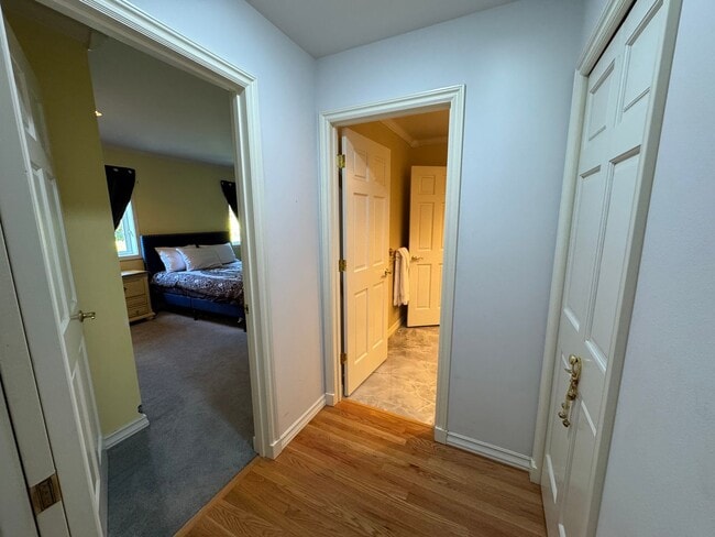 Building Photo - 2736 Stein Hill Ln