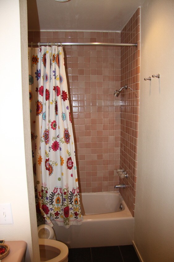 Bathroom - 355 S Los Robles Ave