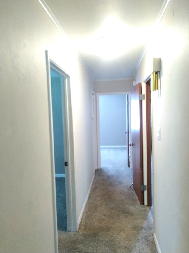 Pasillo principal - 11446 Olive Rd