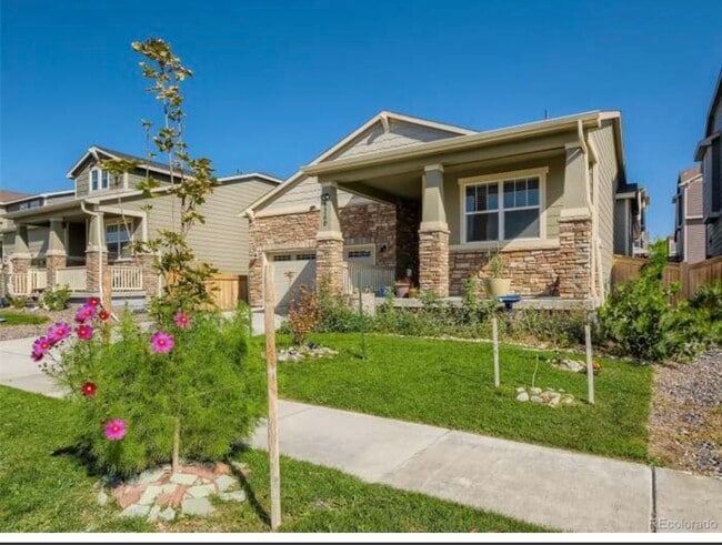 Private ranch style home. Modern and new. Move-in ready - 9260 Rifle St House