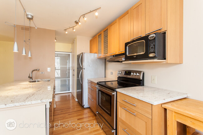 Building Photo - 1540 N La Salle Dr