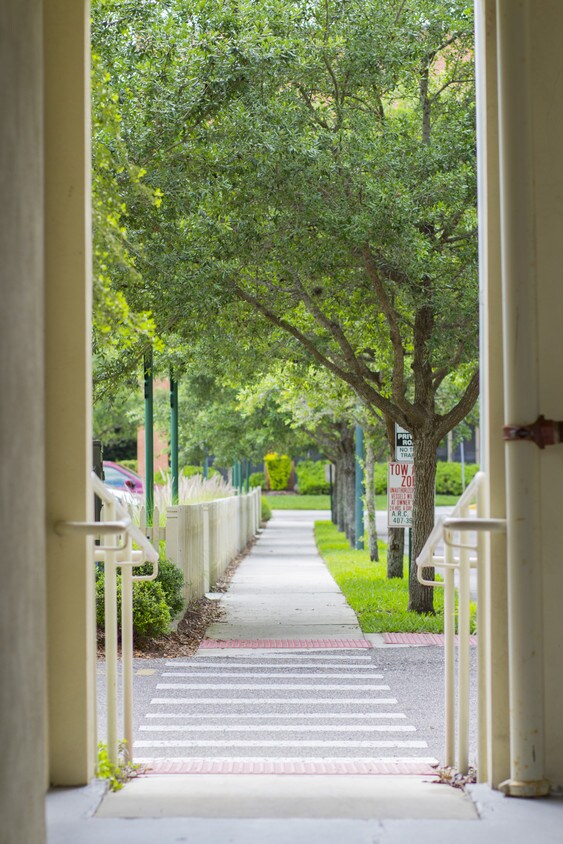 720 Celebration Ave, Celebration, FL 34747 Condo for Rent in Celebration, FL