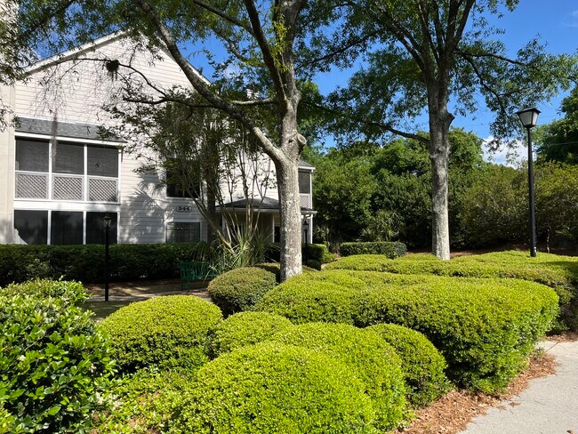 Foto del edificio - 344 Sandpiper Dr