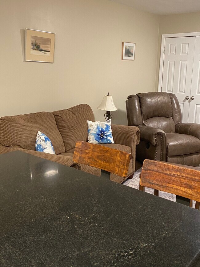 345 Stonebridge Dr Unit Basement Apartment, Blue Ridge, VA 24064