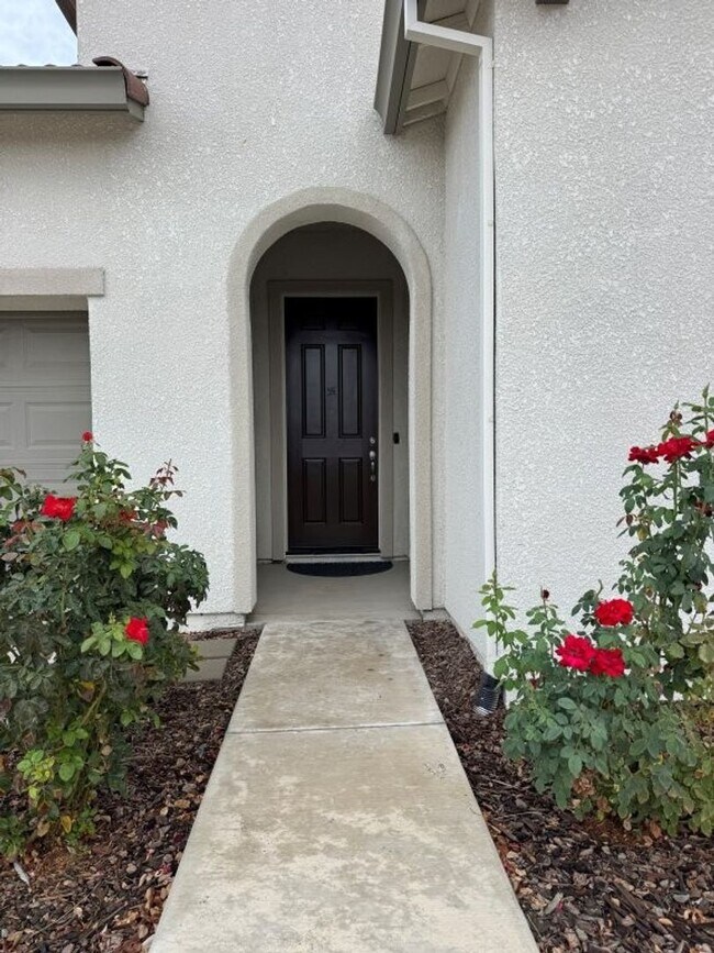 Foto del edificio - Beautiful Springlake Home with Solar and S...