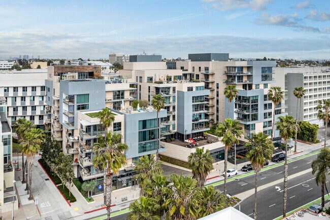 Building Photo - The Seychelle
