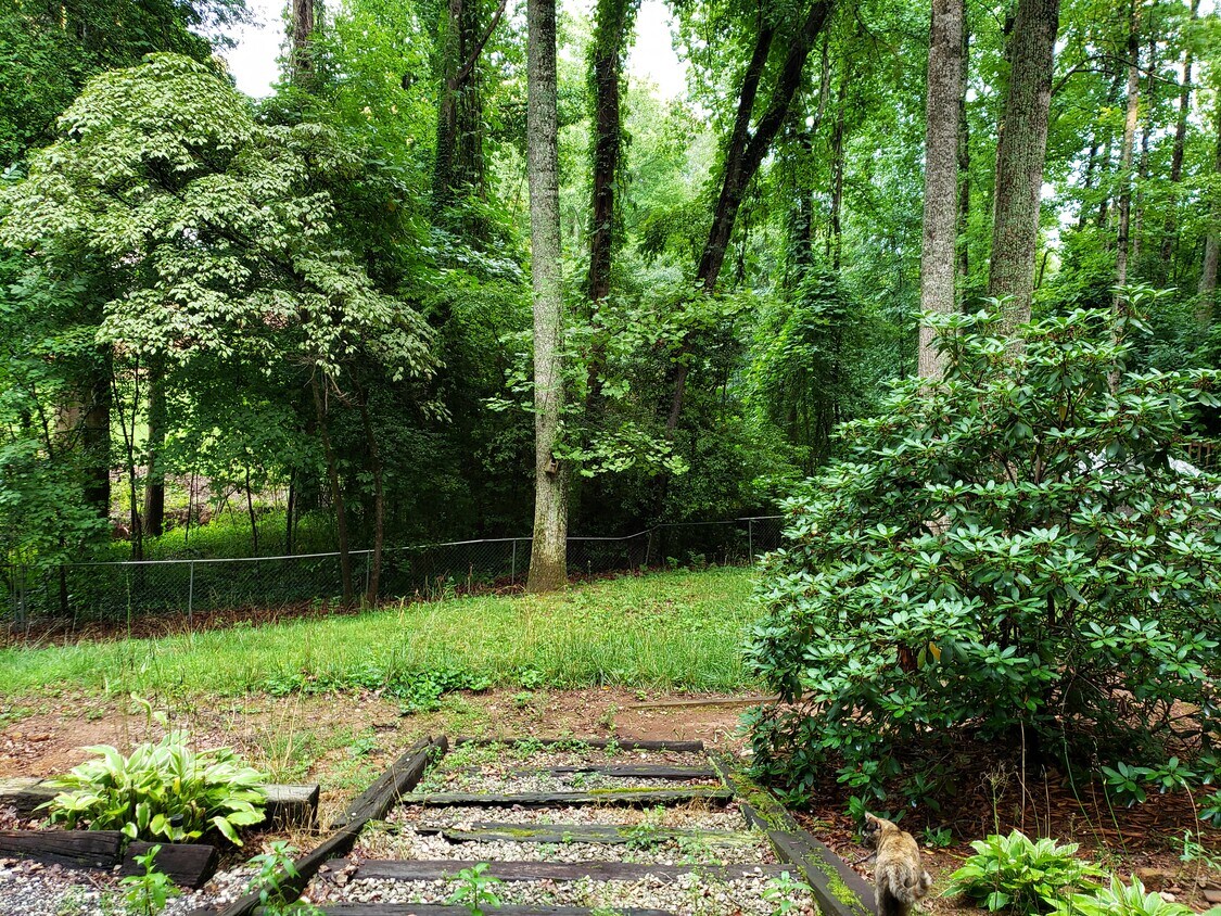 backyard view from studio - 5584 Brookwood Ln