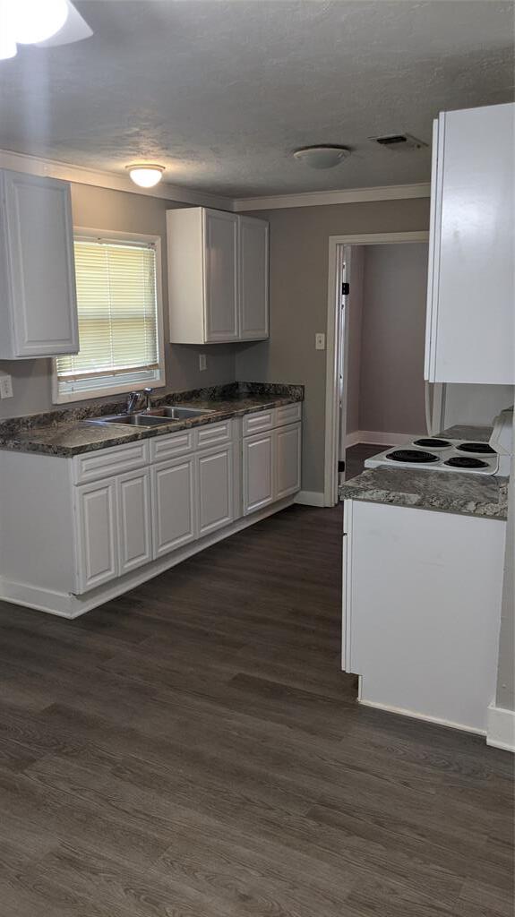 Building Photo - 204 3rd St