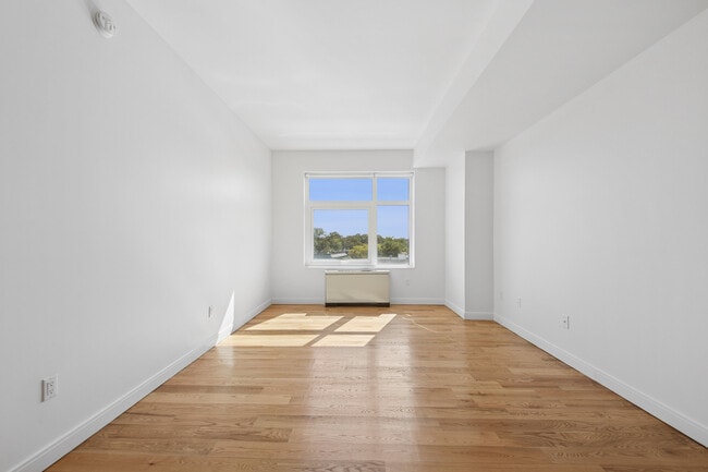 Interior Photo - The Vitagraph