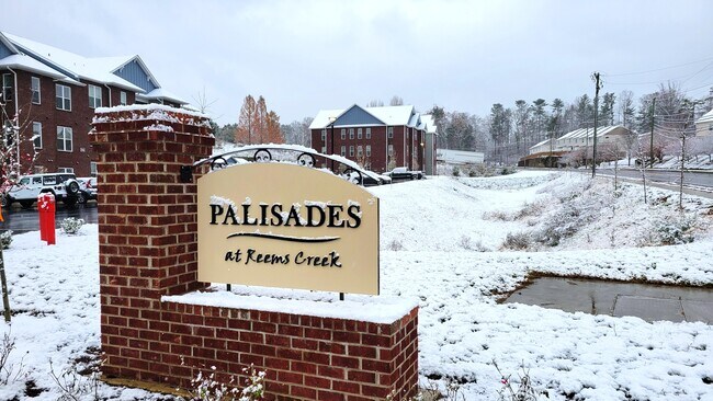 Building Photo - Palisades at Reems Creek
