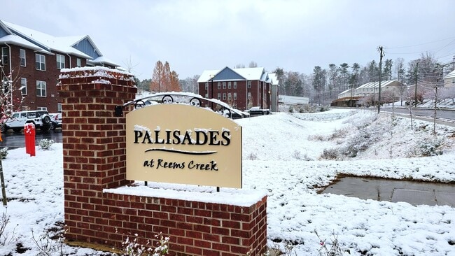 Building Photo - Palisades at Reems Creek