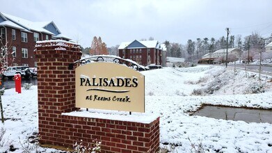 Building Photo - Palisades at Reems Creek