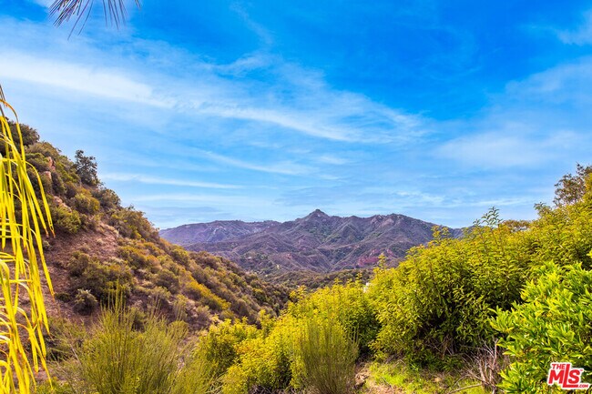 Foto del edificio - 2529 Topanga Skyline Dr