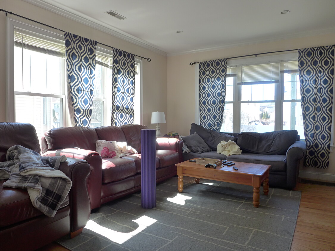 Primary Photo - 9 Cygnet St