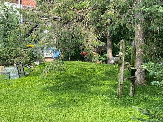 Patio interior - 104 Pine St