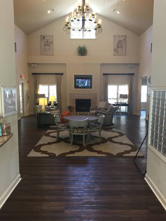 the verge student rentals by the bedroom rentals asheville nc