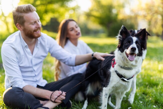 Pet friendly amenities - The Everstead at Windrose