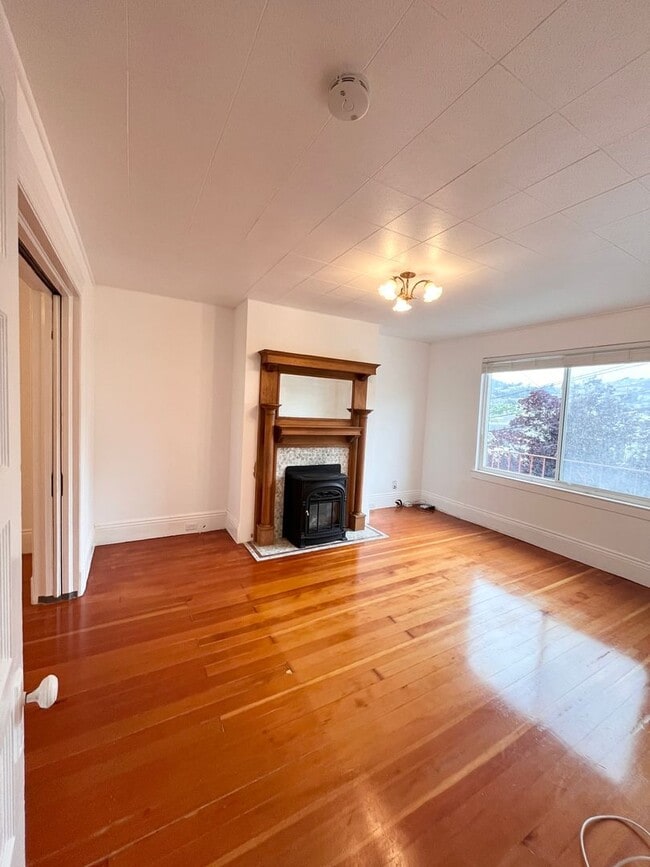 Photo - Large, Beautiful Home near Dolores Park!
