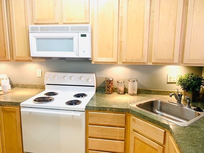 Building Photo - BEAUTIFUL CONDO! 2 MINUTE WALK TO CAMPUS!