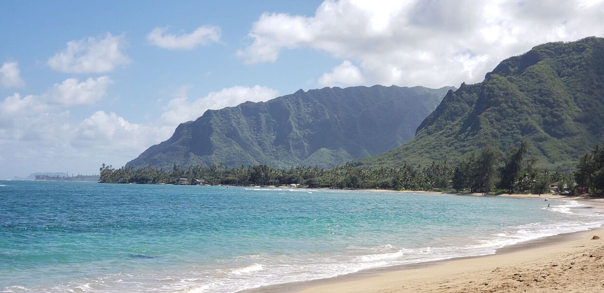 Primary Photo - Hauula